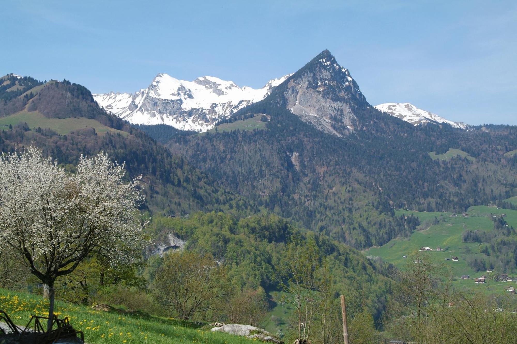 Landgasthof Grossteil Giswil Dış mekan fotoğraf