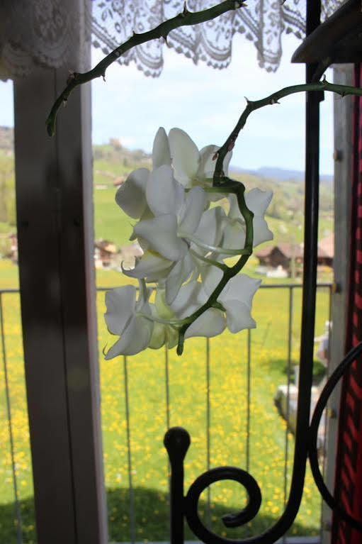 Landgasthof Grossteil Giswil Dış mekan fotoğraf